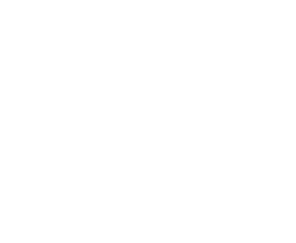 Elena Elizarova logo